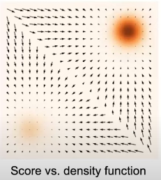 Score Function