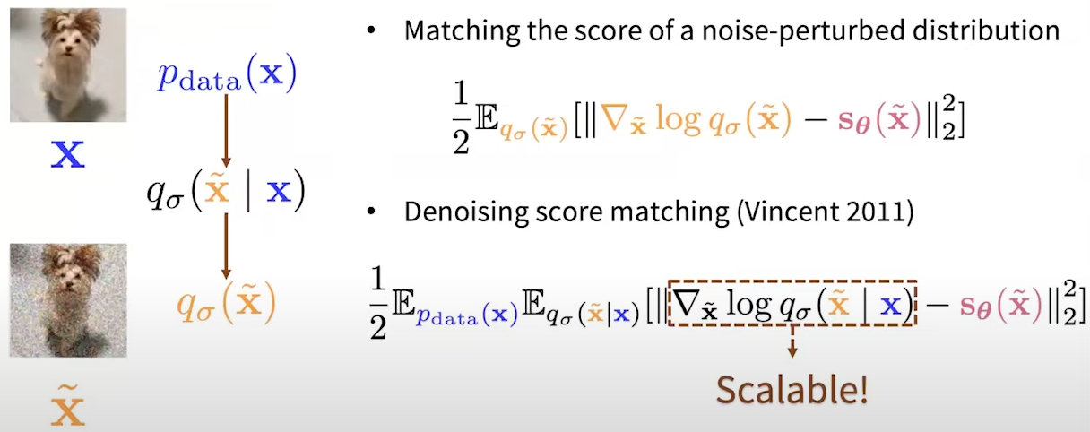 Trace v vT Jacobian Backpropagation